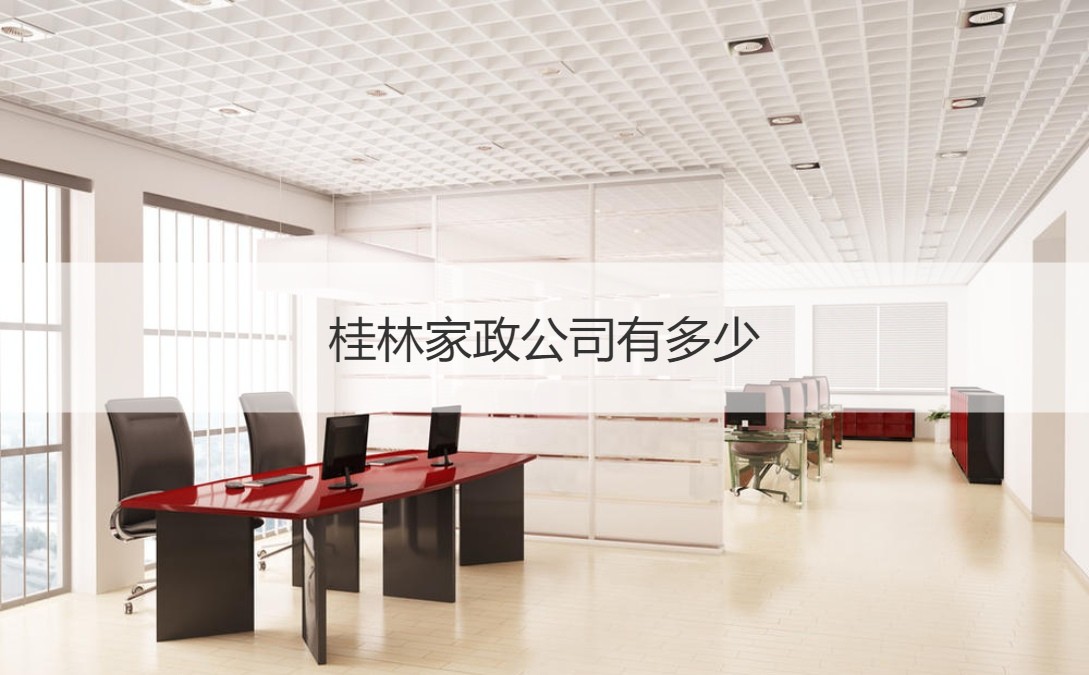 桂林家政公司有多少 家政公司经营范围