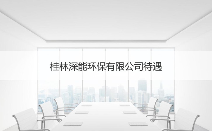 桂林深能环保有限公司待遇 桂林深能环保有限公司介绍