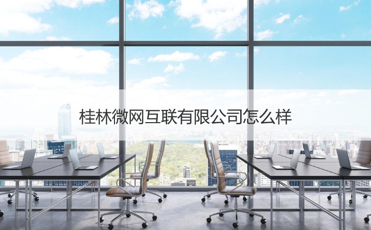 桂林微网互联有限公司怎么样